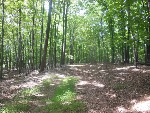 4750 Smith Mountain Rd, Penhook, VA 24137 photo 7