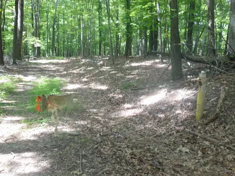 4750 Smith Mountain Rd, Penhook, VA 24137 photo 8