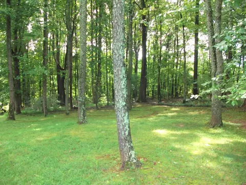 1958 Truevine Rd, Penhook, VA 24137 photo 41