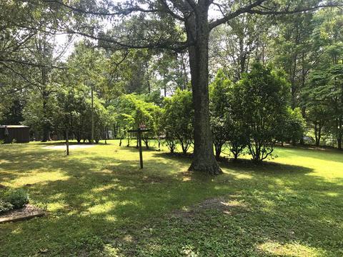 1121 Circlewood Loop, Goodview, VA 24095 photo 19