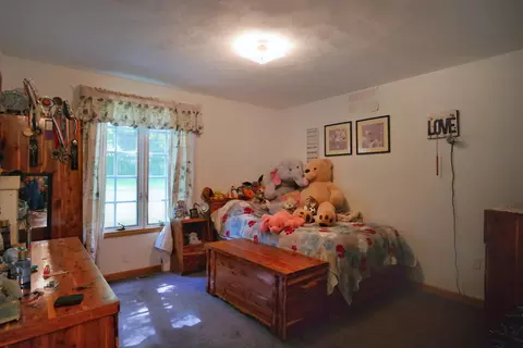 455 Shiloh Dr, Eagle Rock, VA 24085 photo 15