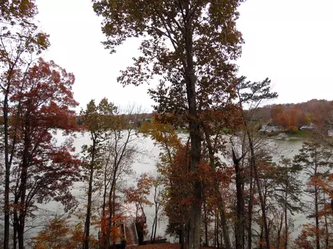 1429 Longview Estates Dr, Goodview, VA 24095 photo 70