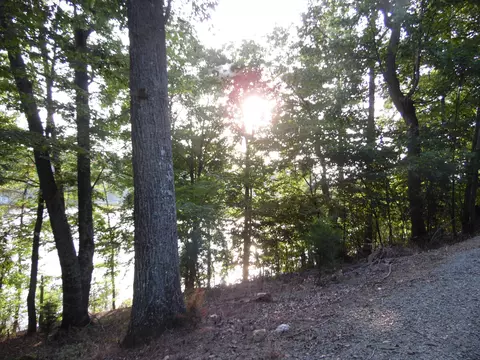 1429 Longview Estates Dr, Goodview, VA 24095 photo 61