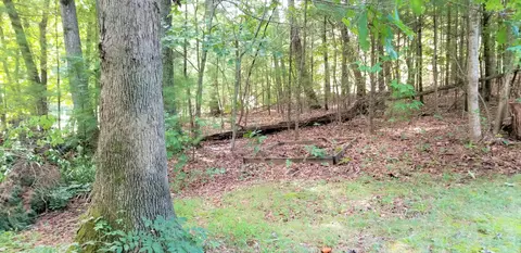 90 Ferrum Forest Ln, Ferrum, VA 24088 photo 36