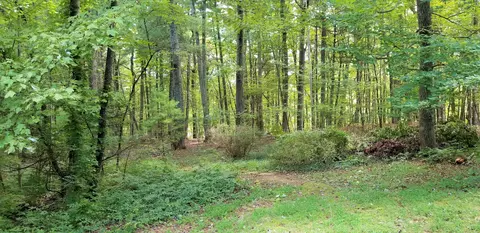 90 Ferrum Forest Ln, Ferrum, VA 24088 photo 19