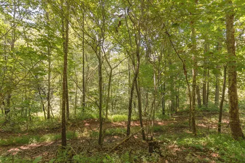 604 N Fork Rd, Amherst, VA 24521 photo 75