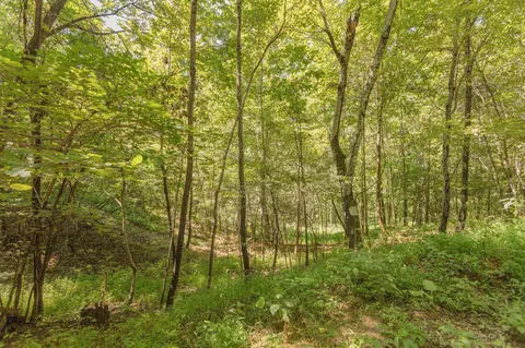 604 N Fork Rd, Amherst, VA 24521 photo 76