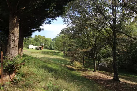 6773 Goodview Rd, Goodview, VA 24095 photo 30