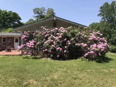 1232 Terrace Dr, Salem, VA 24153 photo 4