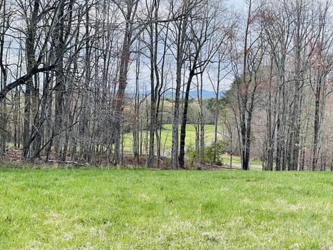 lot2 A Windlass Dr, Moneta, VA 24121