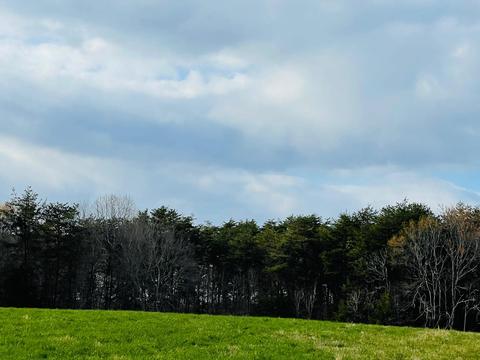 lot9 Belvior Cir, Moneta, VA 24121