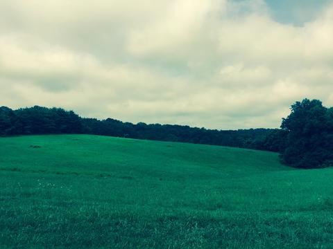 lot14 Belvior Cir, Moneta, VA 24121
