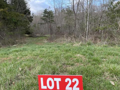 lot22 Windsor Castle Dr, Moneta, VA 24121