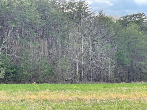 Lot 29 Windsor Castle Dr, Moneta, VA 24121