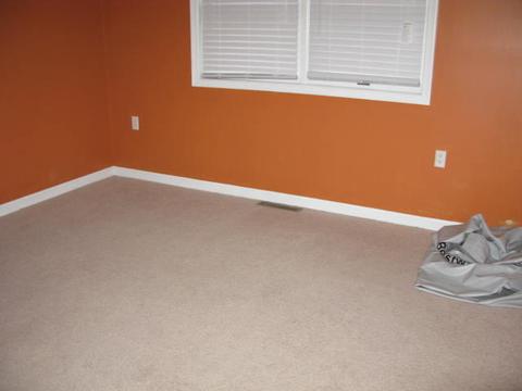 8005 Olsen Rd, Roanoke, VA 24019 photo 9