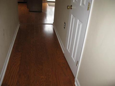 8005 Olsen Rd, Roanoke, VA 24019 photo 12