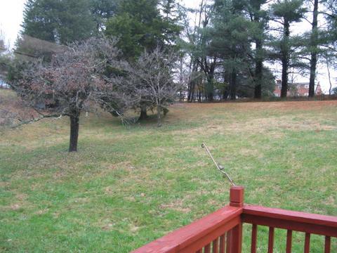 8005 Olsen Rd, Roanoke, VA 24019 photo 23