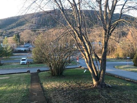 54 Boyd St, Buchanan, VA 24066 photo 20