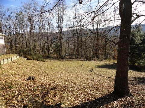 361 E Hamilton Dr, Covington, VA 24426 photo 3