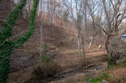 2139 Buffalo Rd, Buchanan, VA 24066 photo 26