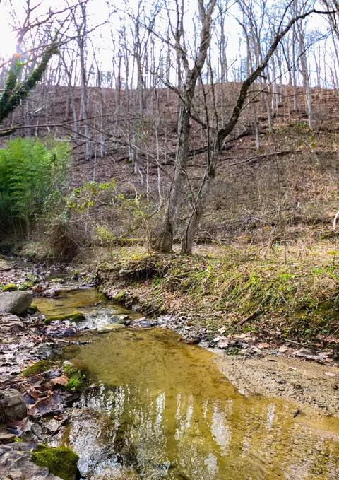 2139 Buffalo Rd, Buchanan, VA 24066 photo 32