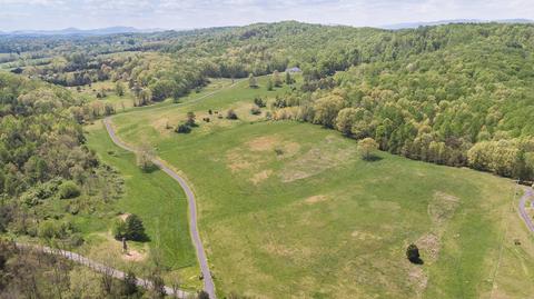 1875 Davis Run, Buchanan, VA 24066 photo 64