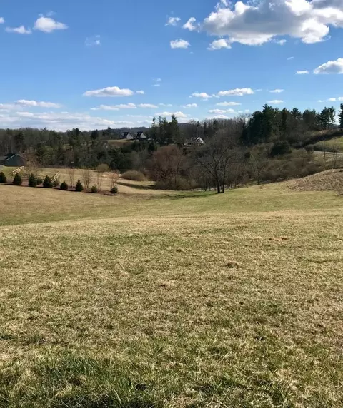 922 Phlegar Hill Rd NE, Floyd, VA 24091 photo 6