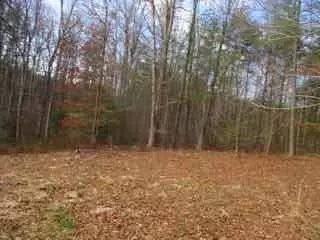 684 Isolane Rd, Callaway, VA 24067 photo 9