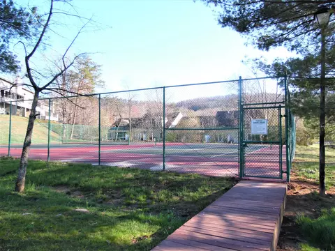 7327 Maple Ct, Roanoke, VA 24018 photo 58
