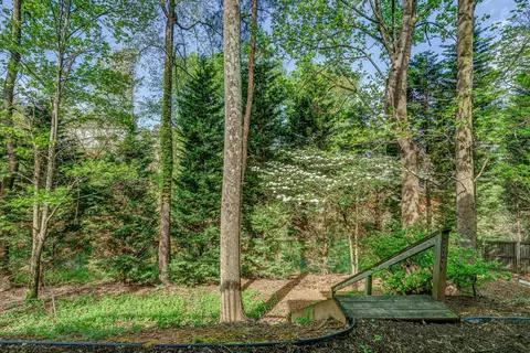 1903 Millbridge Rd, Salem, VA 24153 photo 40