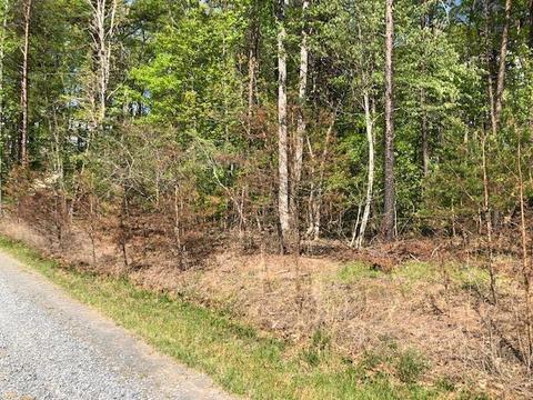 9 Hickory Drive, Goodview, VA 24095 photo 1