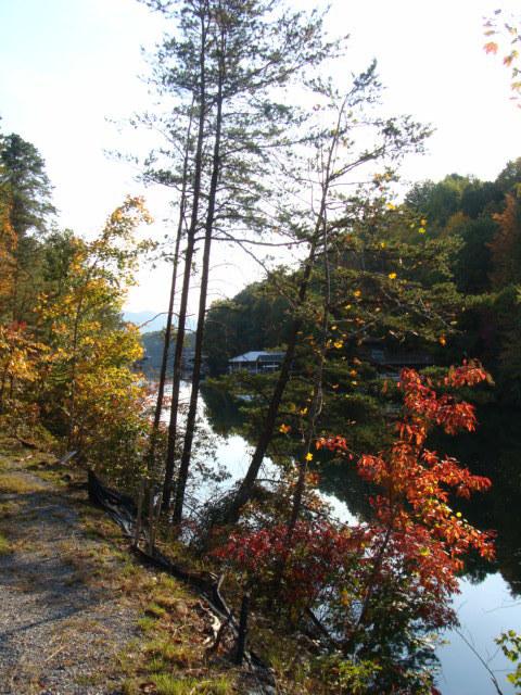 0 Gobbler Ridge Ln, Huddleston, VA 24104