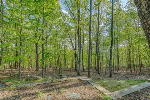 125 Big Bear Run, Vinton, VA 24179 photo 31