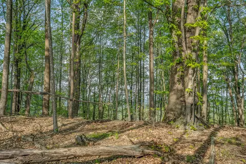 125 Big Bear Run, Vinton, VA 24179 photo 32