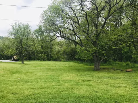 3604 Blue Spring Run Rd, Covington, VA 24426 photo 16