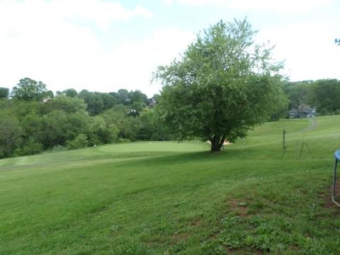 216 Hitching Post Ln, Forest, VA 24551 photo 6