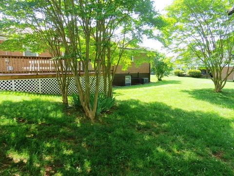 392 Patsy Ave, Collinsville, VA 24078 photo 35