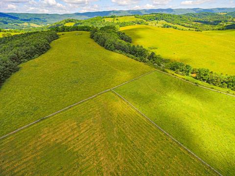 1083 E Field Rd, Rockbridge Baths, VA 24473 photo 69