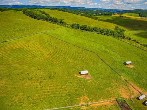 1083 E Field Rd, Rockbridge Baths, VA 24473 photo 66