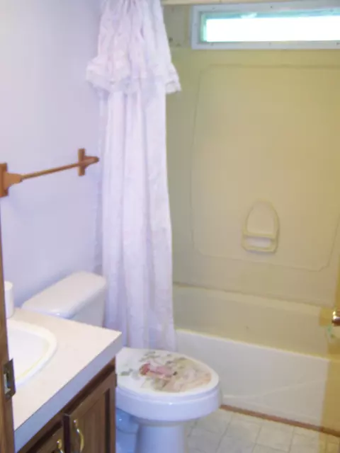 363 Ruby Rd, Fincastle, VA 24090 photo 9