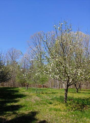 717 Mcdaniel Rd, Java, VA 24565 photo 70