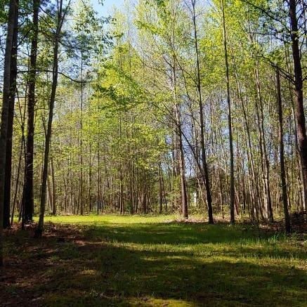 717 Mcdaniel Rd, Java, VA 24565 photo 66