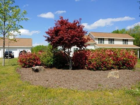 717 Mcdaniel Rd, Java, VA 24565 photo 4