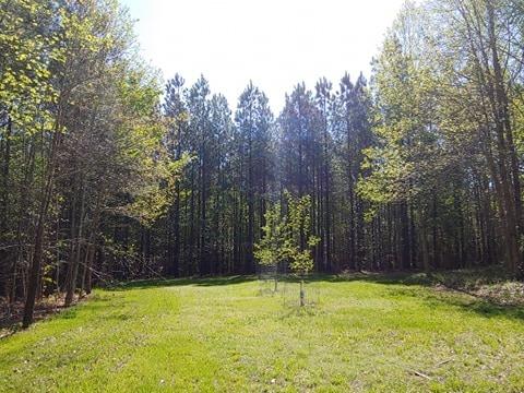 717 Mcdaniel Rd, Java, VA 24565 photo 67