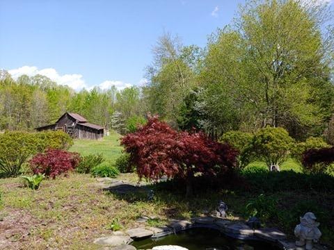 717 Mcdaniel Rd, Java, VA 24565 photo 6