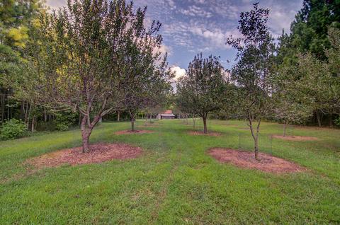 717 Mcdaniel Rd, Java, VA 24565 photo 47
