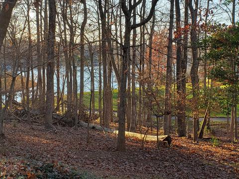 60 Sand Wedge Cir, Penhook, VA 24137 photo 3