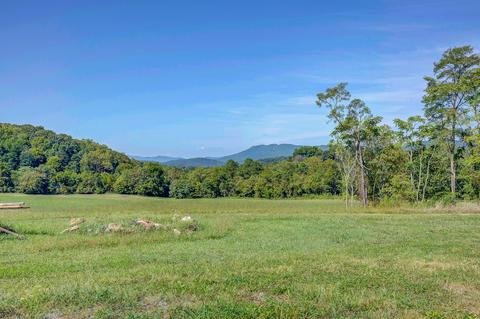 59 Windmill Ln, Eagle Rock, VA 24085 photo 8