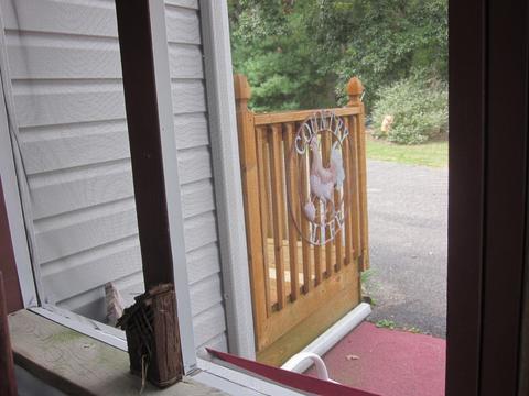 2727 Beech Mountain Rd, Ferrum, VA 24088 photo 70