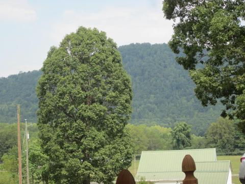 2727 Beech Mountain Rd, Ferrum, VA 24088 photo 59